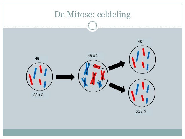Epigenetica presentate 22 11-2011