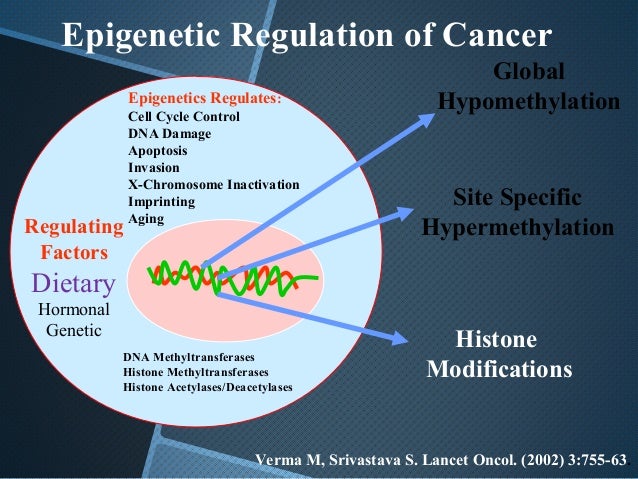 histone modification