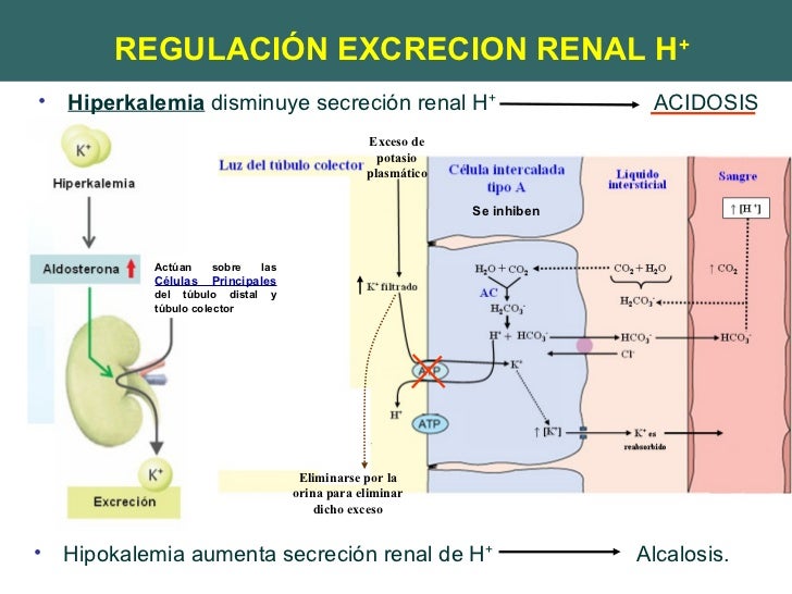 Equilibrio Acido Base