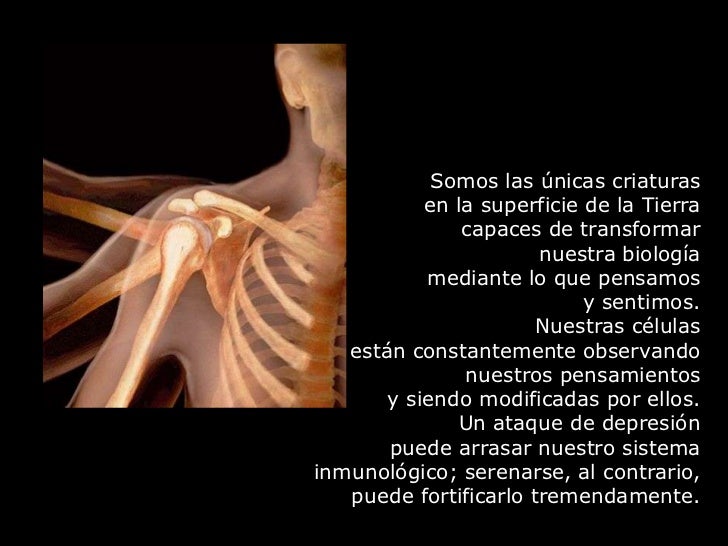Somos las únicas criaturas en la superficie de la Tierra capaces de transformar ...