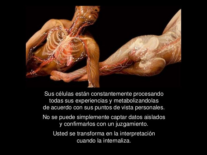 Sus células están constantemente procesando todas sus experiencias y metabolizandolasde acuerdo con sus puntos de vista p...