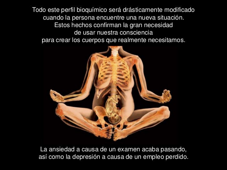 Todo este perfil bioquímico será drásticamente modificado cuando la persona encuentre una nueva situación. Estos h...