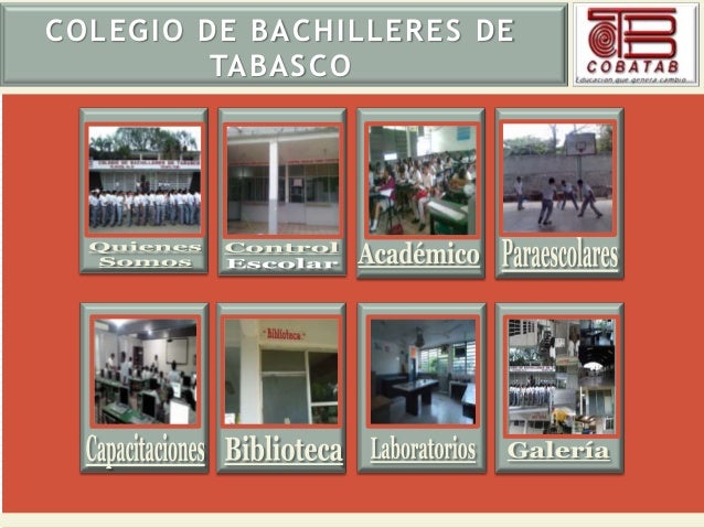 COLEGIO DE BACHILLERES PLANTEL 21 colegio de bachilleres plantel 21: