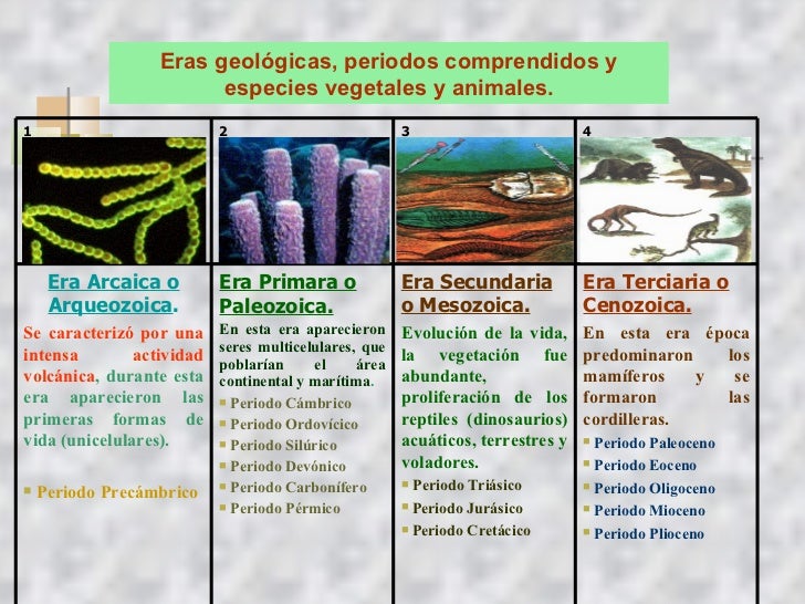 Eras Geologicas Precambrica Paleozoica Mesozoica Y Cenozoica LA ERA