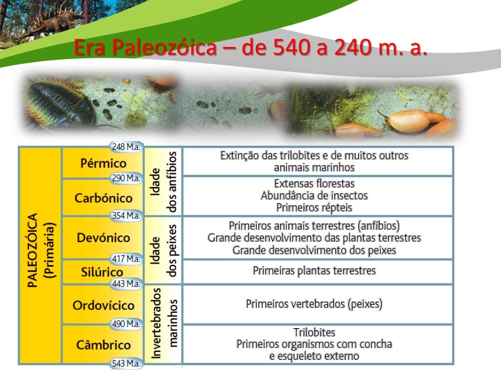 Era Paleozóica – de 540 a 240 m. a.    Câmbrico / Ordovícico / Silúrico / Devónico / Carbónico/ PérmicoAparecimento explos...