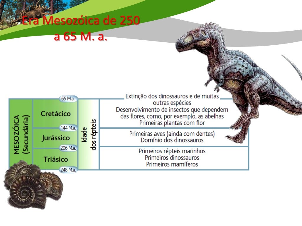 Era Mesozóica – de 250 a 65 M. a.     Triásico / Jurássico/ Cretácico Esta foi a Era das amonites e dos dinossauros.  Exis...