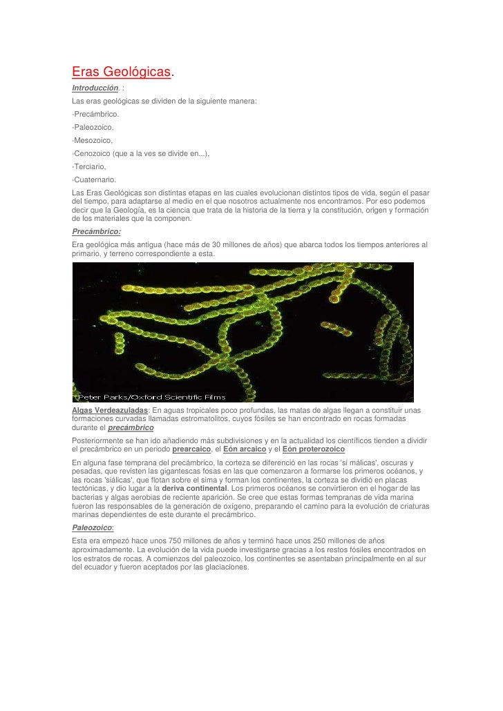 LAS ERAS GEOLOGICAS by salma cortes Images - Frompo LAS ERAS GEOLOGICAS by salma cortes Images - Frompo