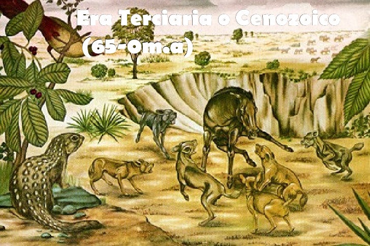 Las eras geologicas del planeta Tierra Primeros seres
