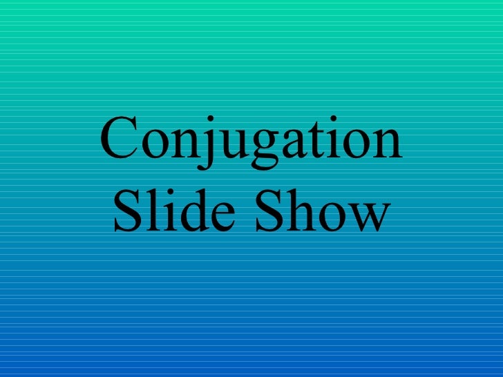 Conjugation Slide Show