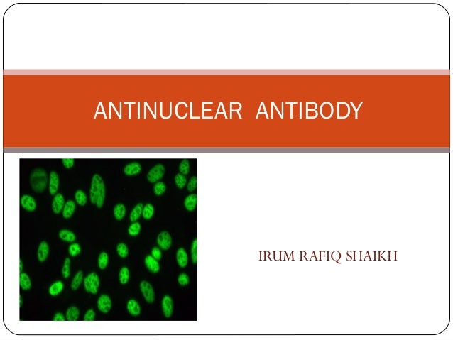 ANTINUCLEAR ANTIBODY