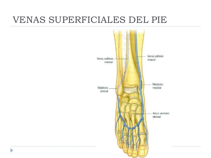 La gimnasia a los asteriscos vasculares en los pies