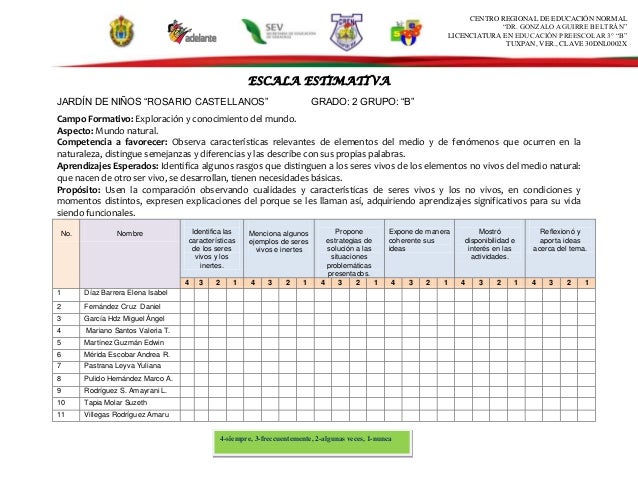 Escala estimativa