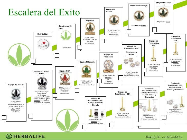 Escalera Del Exito Herbalife Pdf