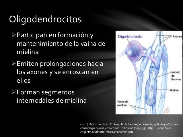 clomid for women clomid for women