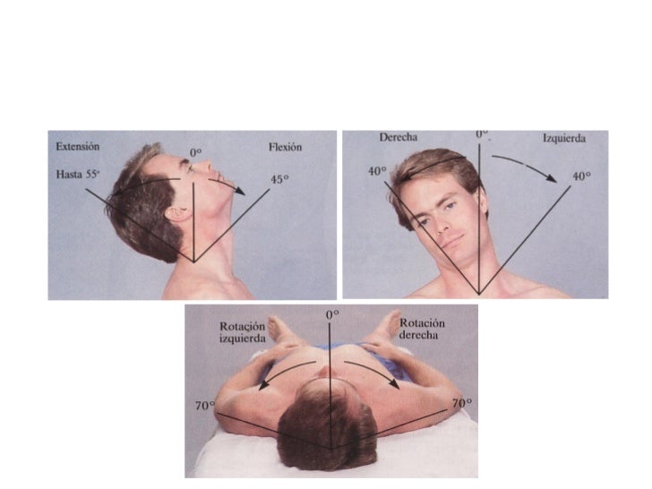 Cervical dysplasia treatment recommendations cervical ovarian most cancers symptoms