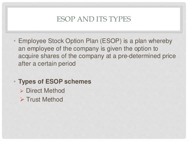 Employee stock options shares