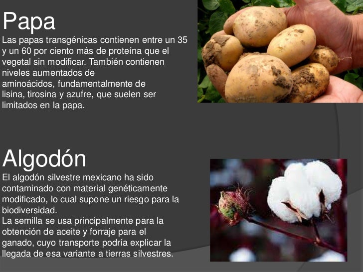 Especies vegetales y animales que han sufrido una mutación