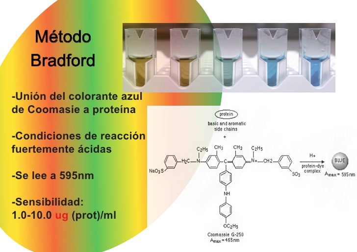 Espectro