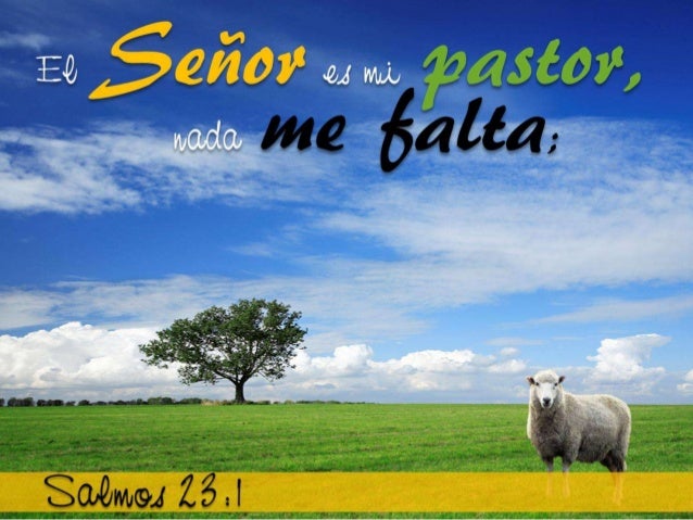 Descargar Gratis Biblia Latinoamericana Catolica Para Pc