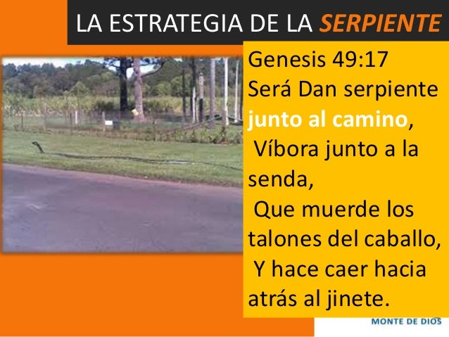 Resultado de imagen para dan serpiente junto al camino