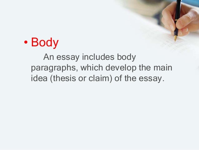 Focus on Essay Writing (PDF)