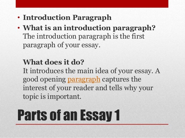 What are the five main parts of an essay