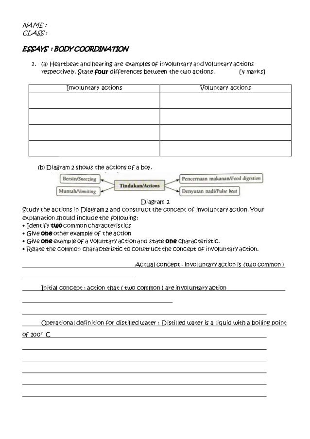 Art Appreciation Essay Example