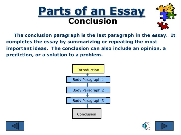 Different parts of essay writing