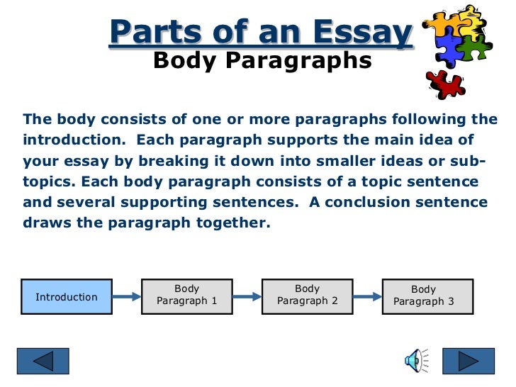 Components of a Good Essay Intro