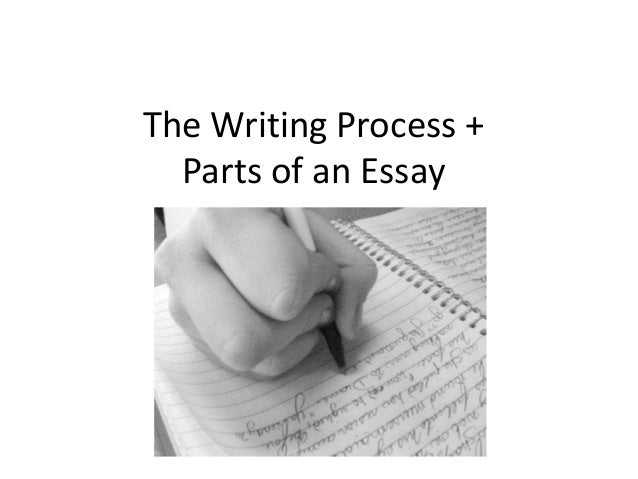 Ap english lit essays examples