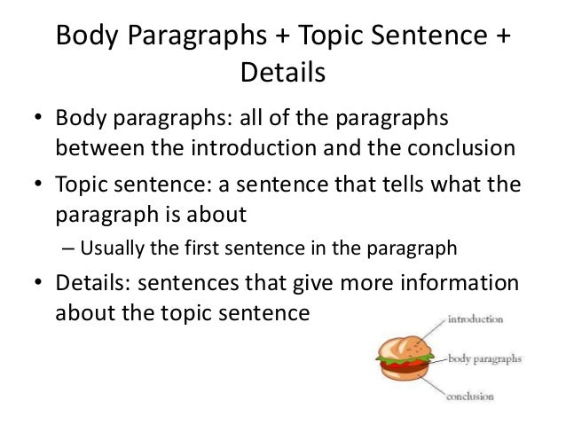 what belongs in the introductory paragraph of an essay what belongs in the introductory paragraph of an essay