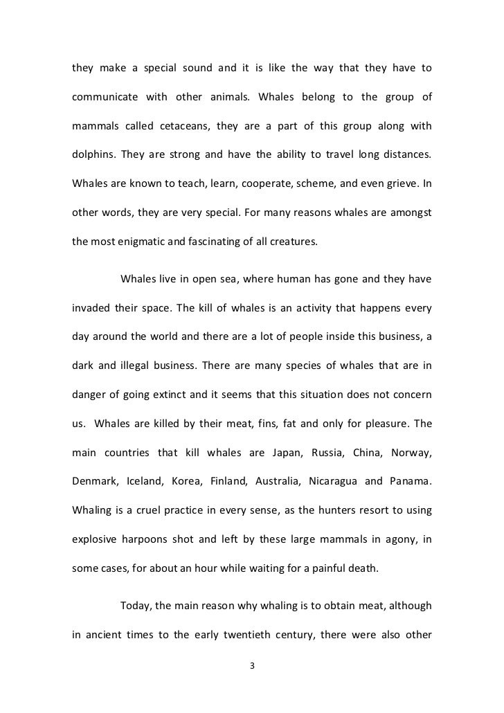 time order in expository essays time order in expository essays