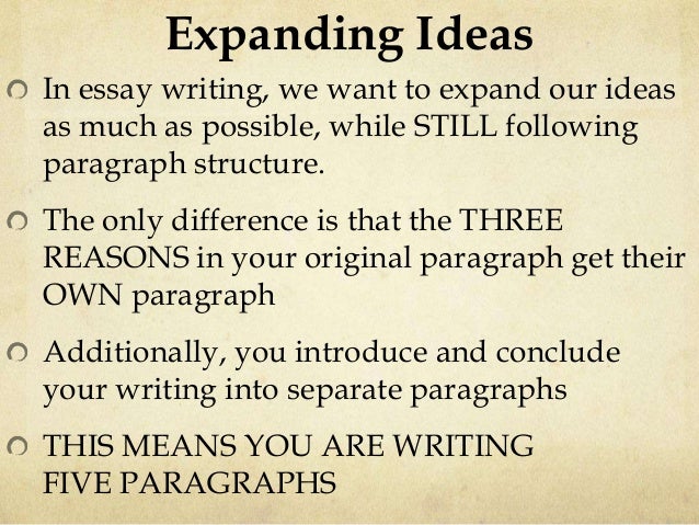 art opinions essay art opinions essay