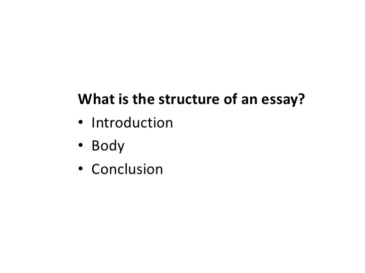 perfect sat essay example