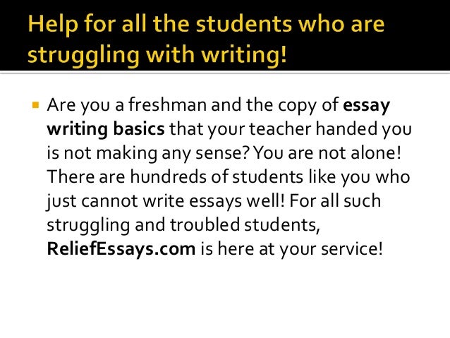 Secret life of bees essay prompt