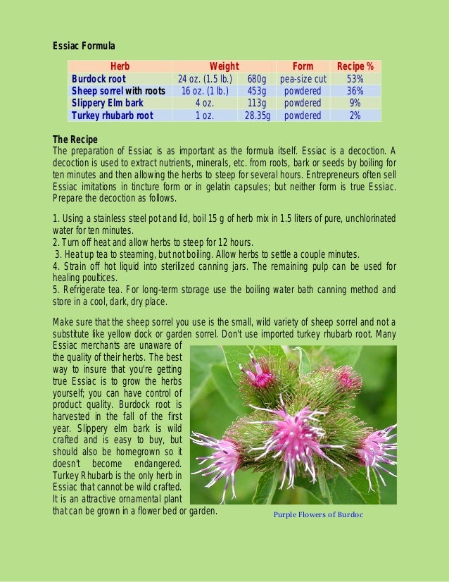 essiac tea of life essay essiac tea of life essay