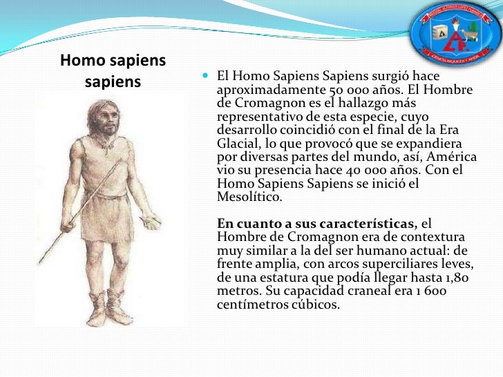 Estadios evolutivos del hombre