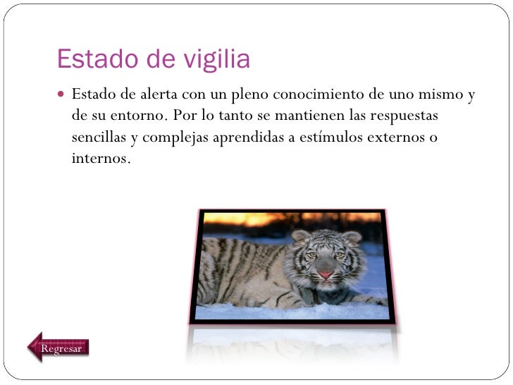 Estados de conciencia.