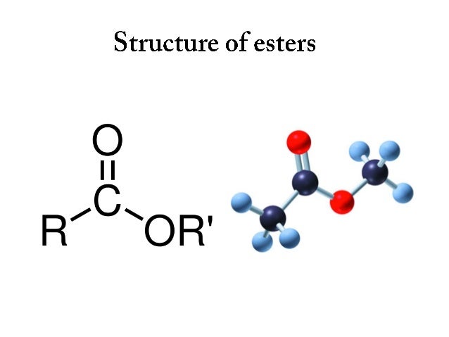 Esters occur naturally, but can be made in the laboratory by reacting an alcohol
with an organic acid. A little sulfuric a...