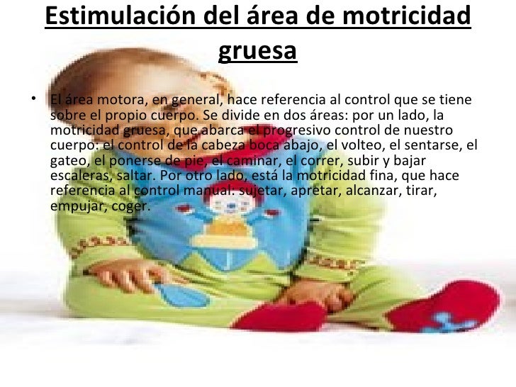DESARROLLO MOTRICIDAD GRUESA desarrollo motricidad gruesa: