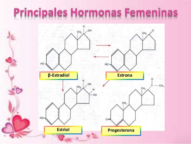 Estrógenos y progesterona - Fisiología Humana