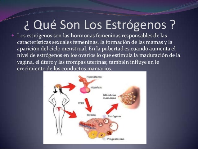 Ha dejado a fumar se siento