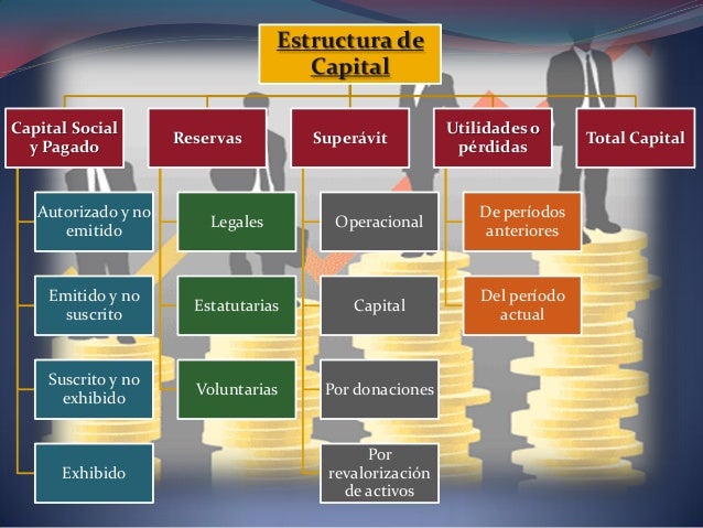 Estructura del capital