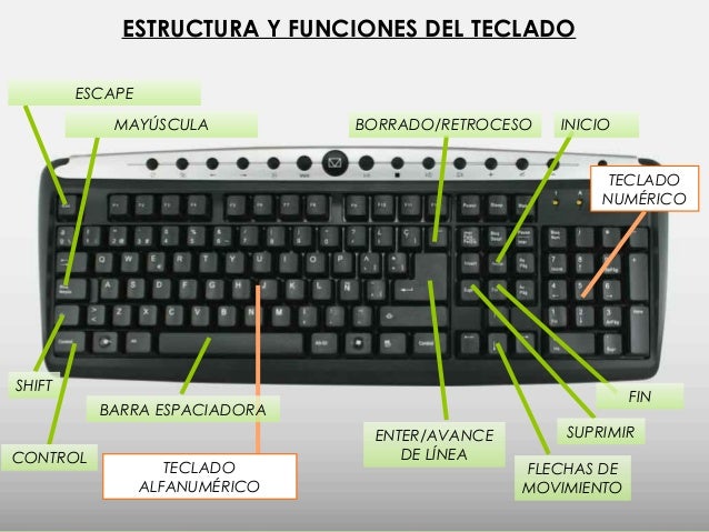 Estructura y Uso del Teclado y Mouse