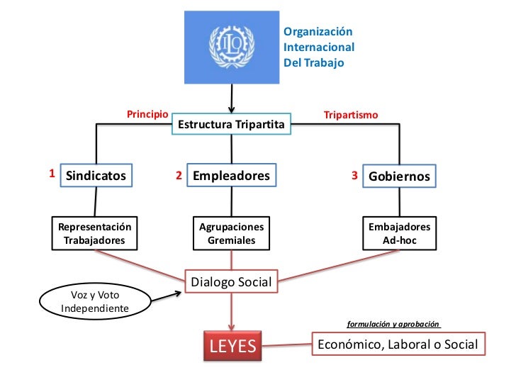 estructura-oit