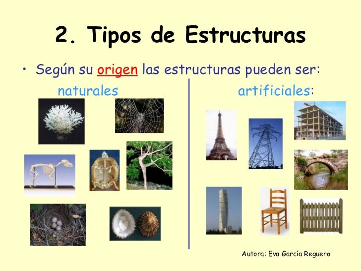 Clasificacion De Las Estructuras Segun Su Importancia