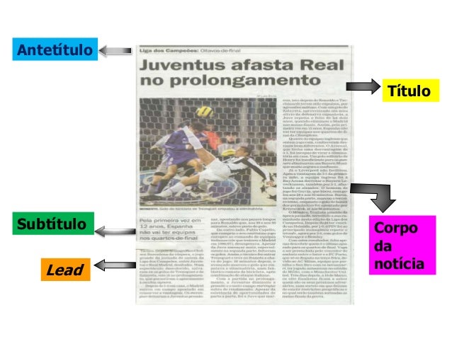 Estrutura da Notícia