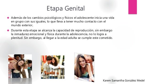 Etapa Genital 
 Además de los cambios psicológicos y físicos el adolescente inicia una vida 
en grupo con sus iguales, lo...