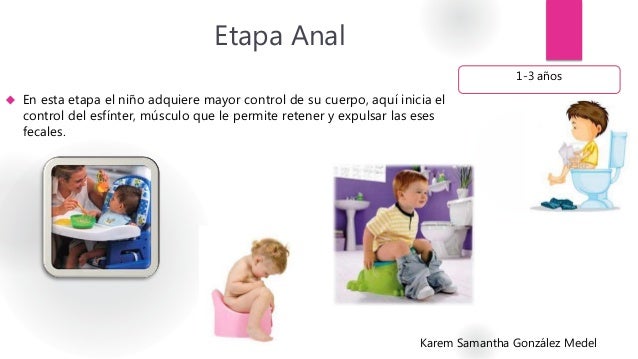 Etapa Anal 
 En esta etapa el niño adquiere mayor control de su cuerpo, aquí inicia el 
control del esfínter, músculo que...