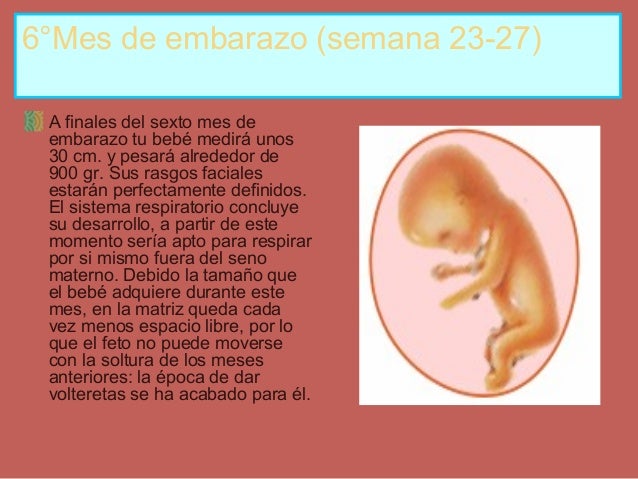 http://image.slidesharecdn.com/etapasdelembarazo-150322123346-conversion-gate01/95/etapas-del-embarazo-8-638.jpg?cb=1427027736